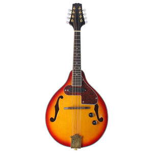 Acoustic-Electric Mandolin